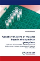 Emmanuel Nepolo - Genetic variations of marama bean in the Namibian germplasm