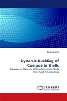 Edgars Eglitis - Dynamic Buckling of Composite Shells