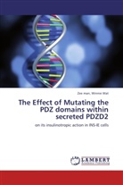 Zee man Wat, Zee man Winnie Wat - The Effect of Mutating the PDZ domains within secreted PDZD2