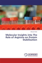 Dhawal Shah - Molecular Insights into The Role of Arginine on Protein Stabilization