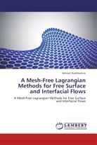 Ahmad Shakibaeinia - A Mesh-Free Lagrangian Methods for Free Surface and Interfacial Flows