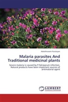 Abdolhossein Rustaiyan - Malaria parasites And Traditional medicinal plants