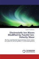 Catalin Teodorescu - Electrostatic Ion Waves Modified by Parallel Ion-Velocity Shear