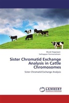 Mural Nagarajan, Murali Nagarajan, Sathappan Panneerselvam - Sister Chromatid Exchange Analysis in Cattle Chromosomes