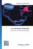 Bertran G Muller, Bertrand G. Muller - Le cerveau humain