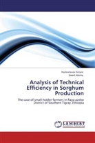 Dawit Alemu, Haileselassi Amare, Haileselassie Amare - Analysis of Technical Efficiency in Sorghum Production