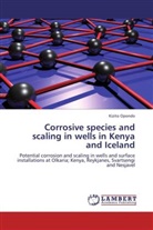 Kizito Opondo - Corrosive species and scaling in wells in Kenya and Iceland