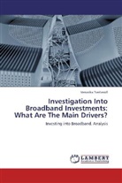 Veronika Tveitevoll - Investigation Into Broadband Investments: What Are The Main Drivers?