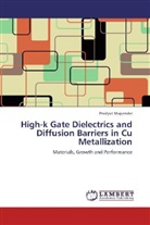 Prodyut Majumder - High-k Gate Dielectrics and Diffusion Barriers in Cu Metallization
