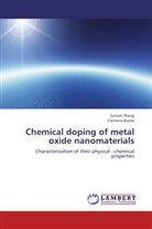 Clemens Burda, Junwe Wang, Junwei Wang - Chemical doping of metal oxide nanomaterials