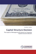 Fentahun Leykun - Capital Structure Decision