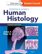 Peter G. Anderson, James Lowe, James S. Lowe - Stevens & Lowe's Human Histology