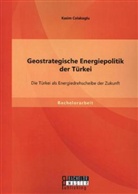 Kasim Colakoglu - Geostrategische Energiepolitik der Türkei: Die Türkei als Energiedrehscheibe der Zukunft