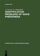 S I Kabanikhin, S. I. Kabanikhin, Lorenzi, A Lorenzi, A. Lorenzi - Identification Problems of Wave Phenomena