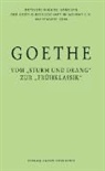 Malt Stein, Malte Stein, Thorste Valk, Thorsten Valk, Marie Wokalek, Thies Ibold... - Goethe - vom "Sturm und Drang" zur "Frühklassik"