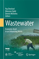 Pay Drechsel, Manzoo Qadir, Manzoor Qadir, Dennis Wichelns - Wastewater