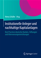 Henr Schäfer, Henry Schäfer - Institutionelle Anleger und nachhaltige Kapitalanlagen