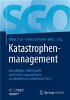 Oska Grün, Oskar Grün, Schenker-Wicki, Schenker-Wicki, Andrea Schenker-Wicki - Katastrophenmanagement