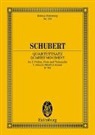 Franz Schubert, Max Hochkofler - Streichquartettsatz c-Moll