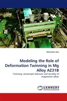 Ashutosh Jain - Modeling the Role of Deformation Twinning in Mg Alloy AZ31B