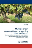 Beza Kinfe - Multiple shoot regeneration of grape vine (Vitis vinifera L.)