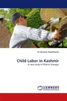 M Mudasir Naqshbandi, M. Mudasir Naqshbandi - Child Labor in Kashmir