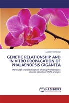 AZADEH NIKNEJAD - GENETIC RELATIONSHIP AND IN VITRO PROPAGATION OF PHALAENOPSIS GIGANTEA