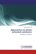Ramin Zibaseresht - Approaches to photo activated cytotoxins