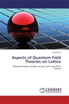 Tilak Sinha - Aspects of Quantum Field Theories on Lattice