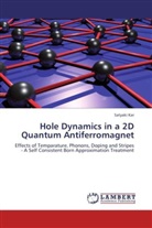 Satyaki Kar - Hole Dynamics in a 2D Quantum Antiferromagnet