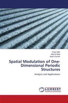 Ade El-Nadi, Adel El-Nadi, Islam Eshrah, Ena Sakr, Enas Sakr - Spatial Modulation of One-Dimensional Periodic Structures