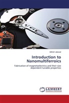 Adhish Jaiswal - Introduction to Nanomultiferroics