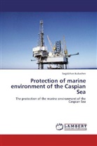 Sagidzhan Kubashev - Protection of marine environment of the Caspian Sea