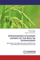 Koma Aftab, Komal Aftab, Fakhar-un-nisa Yunus, Wajeeh Zafar, Wajeeha Zafar - Enhancement of protein content of rice bran by fermentation