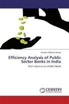 Shradha Malhotra Banga - Efficiency Analysis of Public Sector Banks in India
