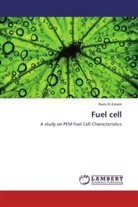 Rami El-Emam - Fuel cell