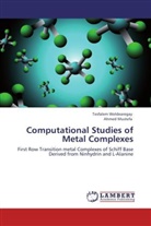 Ahmed Mustefa, Tesfale Weldearegay, Tesfalem Weldearegay - Computational Studies of Metal Complexes