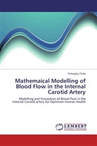 Tertsegha Tivde - Mathemaical Modelling of Blood Flow in the Internal Carotid Artery