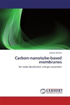 Ludovic Dumée - Carbon-nanotube-based membranes