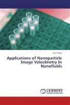 Sara Haque - Applications of Nanoparticle Image Velocimetry in Nanofluids