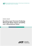 Bianca Adler - Boundary-Layer Processes Producing Mesoscale Water-Vapour Variability over a Mountainous Island