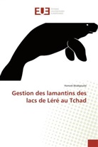 Honoré Beakgoube, Beakgoube-h - Gestion des lamantins des lacs de