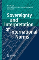 Carlos Fernández, Carlos Fernández de Casadevante y Rom - Sovereignty and Interpretation of International Norms