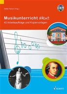 Stefa Kalmer, Stefan Kalmer - Musikunterricht akut, Lehrerband mit Audio-CD