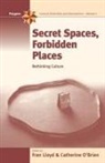 Fran Lloyd, Catherine O'Brien - Secret Spaces, Forbidden Places