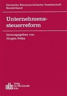Jürge Pelka, Jürgen Pelka - Unternehmenssteuerreform