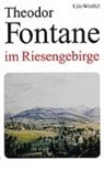 Udo Wörffel - Theodor Fontane im Riesengebirge
