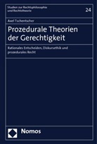 Axel Tschentscher - Prozedurale Theorien der Gerechtigkeit