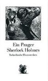Christa Jahr, Ludwig Richter - Ein Prager Sherlock Holmes