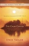Steve Taylor - The Calm Center